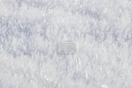 Téléchargez les photos : Les graminées et les plantes sont gelées dans des sculptures en cristal scintillantes dans la neige gelée - en image libre de droit