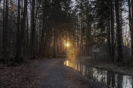 Téléchargez les photos : Chemin le long du ruisseau Brunnenbach à travers la forêt de Siebentischwald à Siebenbrunn au lever du soleil un jour d'hiver - en image libre de droit