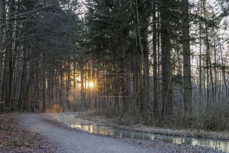 Photo for Path along the Brunnenbach stream through the Siebentischwald forest in Siebenbrunn at sunrise on a winter's day - Royalty Free Image