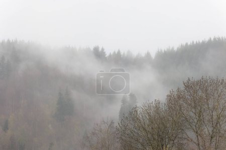 Après la pluie, des voiles de brouillard s'élèvent des forêts de la vallée du Wiesental près de Schopfheim dans la Forêt Noire