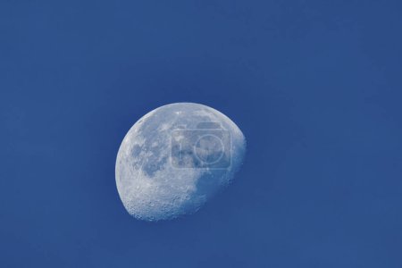 Téléchargez les photos : Lune déclinante en plein jour et ciel bleu - en image libre de droit