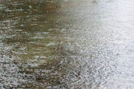 Téléchargez les photos : Surface de l'eau sous une douche à effet pluie avec petits cercles concentriques et gouttes de pluie - en image libre de droit