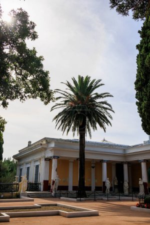 Foto de Hojas emplumadas de una palmera en el jardín ornamental del Achilleion en la isla de Corfu - Imagen libre de derechos
