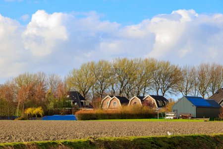 Typische holländische Häuser mit Solardächern und Photovoltaikflächen in den Niederlanden