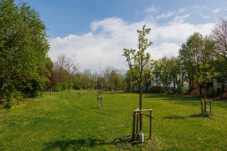 Téléchargez les photos : Un sentier dans un parc avec arbres fruitiers et jardinage urbain à Konigsbrunn près d'Augsbourg en Bavière par une journée nuageuse - en image libre de droit