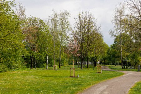 A path in a park with fruit trees and urban gardening in Konigsbrunn near Augsburg in Bavaria on a cloudy day