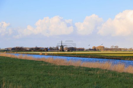 Foto de Paisaje en los Países Bajos con canal de drenaje, campos de tulipanes florecientes y molino de viento cerca de Alkmaar - Imagen libre de derechos
