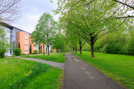 Un sentier dans un parc avec arbres fruitiers et jardinage urbain à Konigsbrunn près d'Augsbourg en Bavière par une journée nuageuse