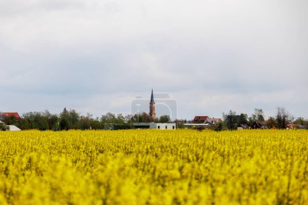 Photo for The steeple of the Catholic church Zur gttlichen Vorsehung in the town of Konigsbrunn in Bavaria can be seen behind a yellow blossoming rape field on a cloudy day - Royalty Free Image