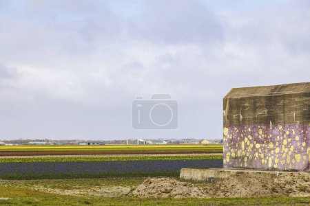 Fortificaciones y búnkeres de la época napoleónica en el fuerte holandés conocido como Dirks Admiraal en Den Helder en un nublado y lluvioso día de primavera