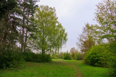 Hiking trail in the Durrenast heathland in the city forest of the Fugger city of Augsburg