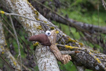 Photo for Soft toy bird on a tree trunk in the Durrenast Heath in the city forest of the Fugger city of Augsburg - Royalty Free Image