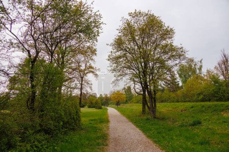 Sendero de senderismo en el brezal de Durrenast en el bosque de la ciudad de Fugger de Augsburgo