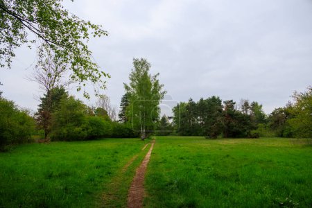 Wanderweg in der Durrenast-Heide im Stadtwald der Fuggerstadt Augsburg