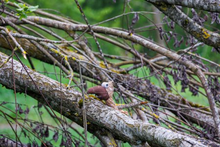 Peluche oiseau sur un tronc d'arbre dans la lande de Durrenast dans la forêt de la ville Fugger de Augsbourg
