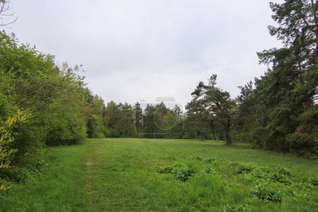 Hiking trail in the Durrenast heathland in the city forest of the Fugger city of Augsburg