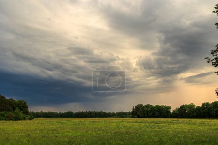 Un prado en el borde del bosque con un cielo nublado dramático en estado de tormenta