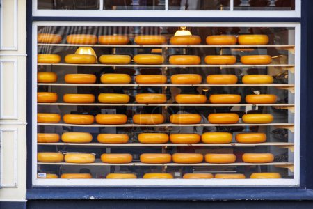 Shop window of a cheese shop in the city of Delft with many round yellow cheese wheels