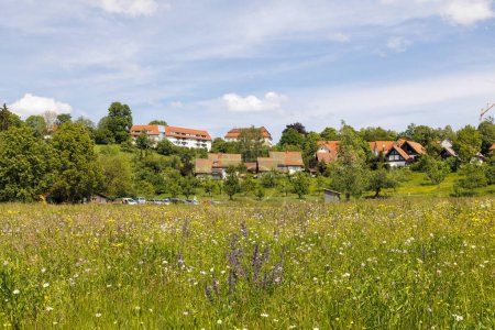 View over blossoming fields in spring under a blue sky to the town and Wolfegg Castle
