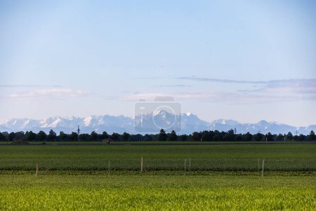 View over the fields in Inningen near Augsburg to the Alps