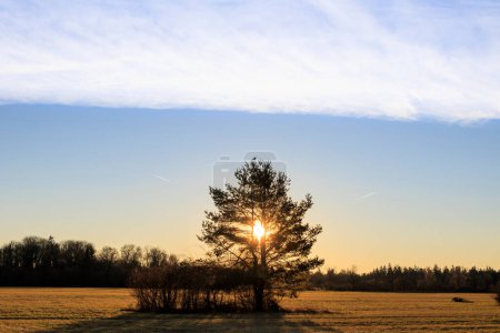 Los rayos del sol naciente de la mañana brillan a través de los árboles en los campos y prados de Siebenbrunn, el distrito más pequeño de la ciudad de Fugger de Augsburgo