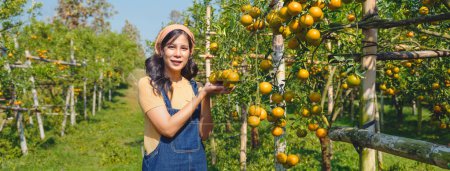 Téléchargez les photos : Jeune femme asiatique agriculteur debout exploitation orange fruit avec sourire dans le jardin - en image libre de droit