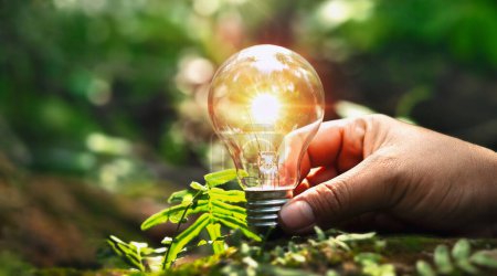 Photo for Hand holding light bulb on soil with sunshine. concept saving power energy in nature - Royalty Free Image
