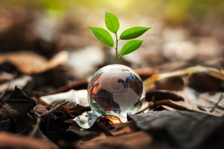 Téléchargez les photos : Boule de globe en verre avec croissance d'arbre et fond flou nature verte. concept écologique - en image libre de droit