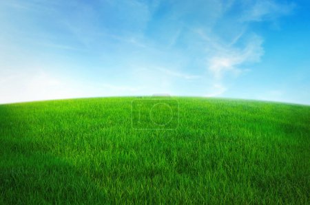 Téléchargez les photos : Champ d'herbe verte avec ciel bleu ad nuage blanc. nature paysage fond - en image libre de droit