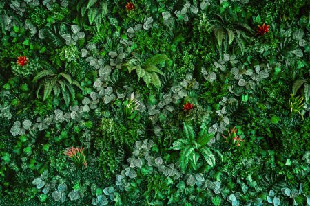 Téléchargez les photos : Collection de feuilles vertes sur mur pour la décoration dans un café. Nature verte. fond végétal - en image libre de droit