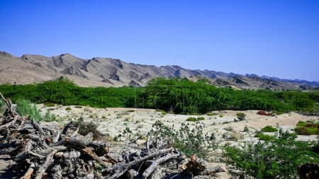 Mountains in Kund Malir, Baluchistan Studded with vegetation.