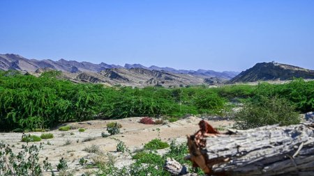 Mountains in Kund Malir, Baluchistan Studded with vegetation.