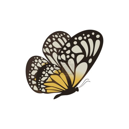 Ilustración de Vector graphic of flying monarch butterfly isolated on white background. - Imagen libre de derechos