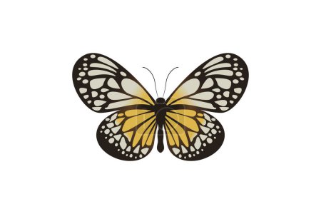 Téléchargez les illustrations : Vector graphic of flying butterfly in a top view isolated on white background. - en licence libre de droit