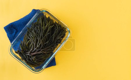 Photo for Codium fragile. Green algae in glass bowl on yellow background. Copy space. Top view. - Royalty Free Image