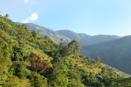 Landschaft aus Bergen und Bäumen in Kolumbien. Ländlicher Raum mit blauem Himmel.