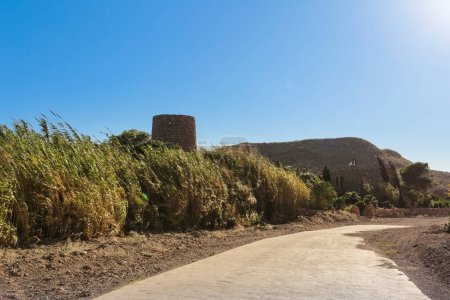 Foto de Antigua torre y Camino rodeado de juncos y vegetación en la Playa de Playazo, Rodalquilar, Almería - Imagen libre de derechos