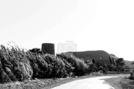 Foto de Antigua torre y Camino rodeado de juncos y vegetación en la Playa de Playazo, Rodalquilar, Almería - Imagen libre de derechos