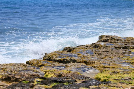 Photo for Waves crashing colorful rocks with green algae on the shore in Spain - Royalty Free Image
