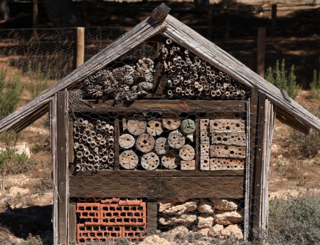 Téléchargez les photos : Maison d'insectes dans le Parc Naturel de Torrevieja, Alicante, Espagne - en image libre de droit