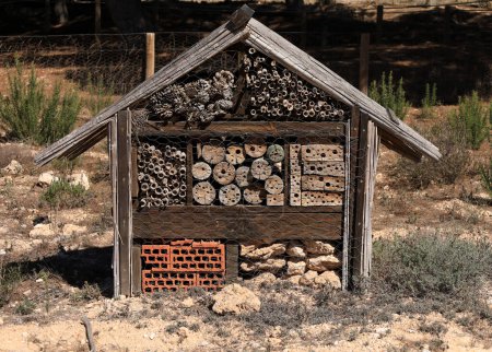 Téléchargez les photos : Maison d'insectes dans le Parc Naturel de Torrevieja, Alicante, Espagne - en image libre de droit