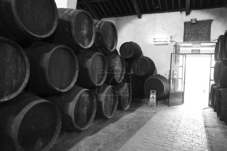 Téléchargez les photos : Sanlucar de Barrameda, Cadix, Espagne- 2 octobre 2023 : Cave traditionnelle à vin manzanilla à Sanlucar de Barrameda - en image libre de droit