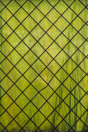 Geometrical pattern of iron lattice of window and green curtain