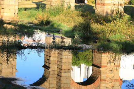 Beautiful Roman Aqueduct of Merida called 'Aqueduct of Miracles' reflected on the Guadiana River with ducks