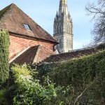 Beautiful houses and gardens in Salisbury. The Cathedral of Salisbury in the background