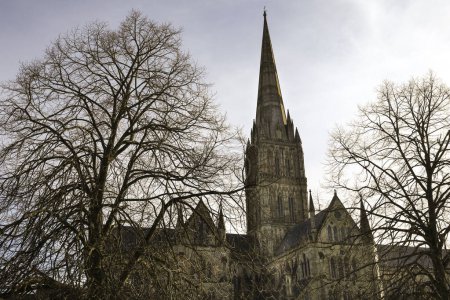 Beautiful Salisbury Cathedral on a clear day of Spring