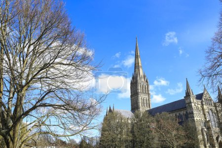 Hermosa Catedral de Salisbury en un día claro de primavera