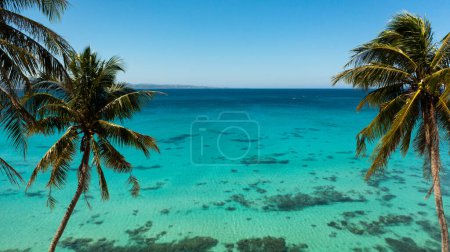 Schöner Strand, Palmen am türkisfarbenen Wasser mit Blick von oben. Pagudpud, Ilocos Norte Philippinen