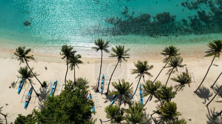 Foto de Aerial view of Tropical beach with palm trees. Pagudpud, Ilocos Norte Philippines - Imagen libre de derechos