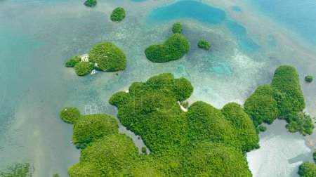 Téléchargez les photos : Îles tropicales et baies. Paysage marin avec lagunes et crique. Sipalay, Negros, Philippines. - en image libre de droit